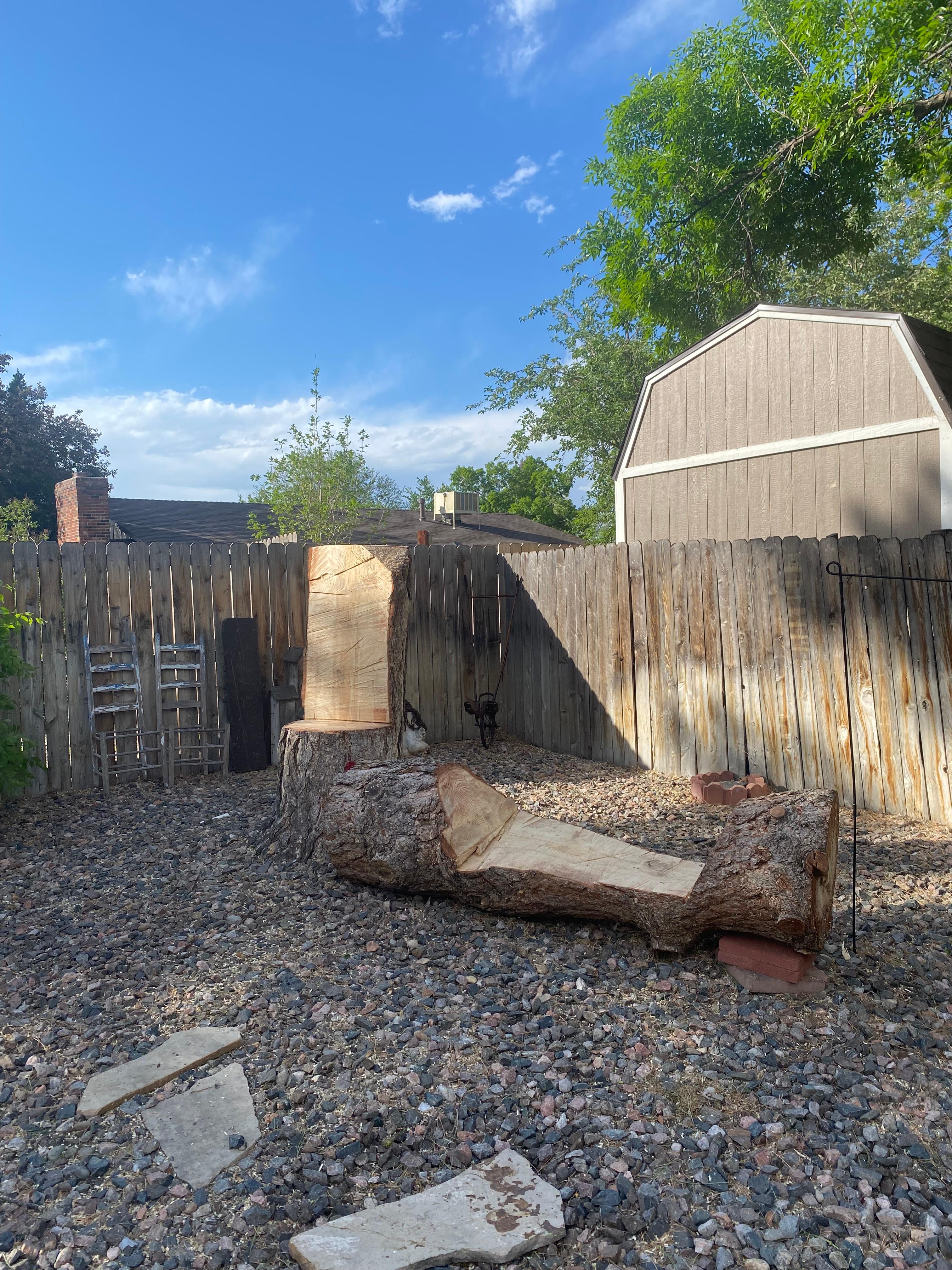 Ponderosa Pine + Custom Trunk - After